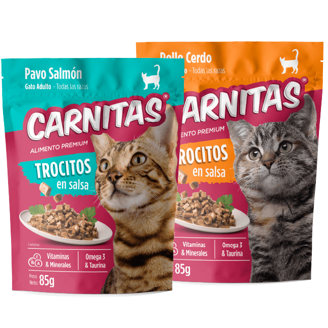 Trocitos en salsa gato. Pavo Salmón y Pollo Cerdo